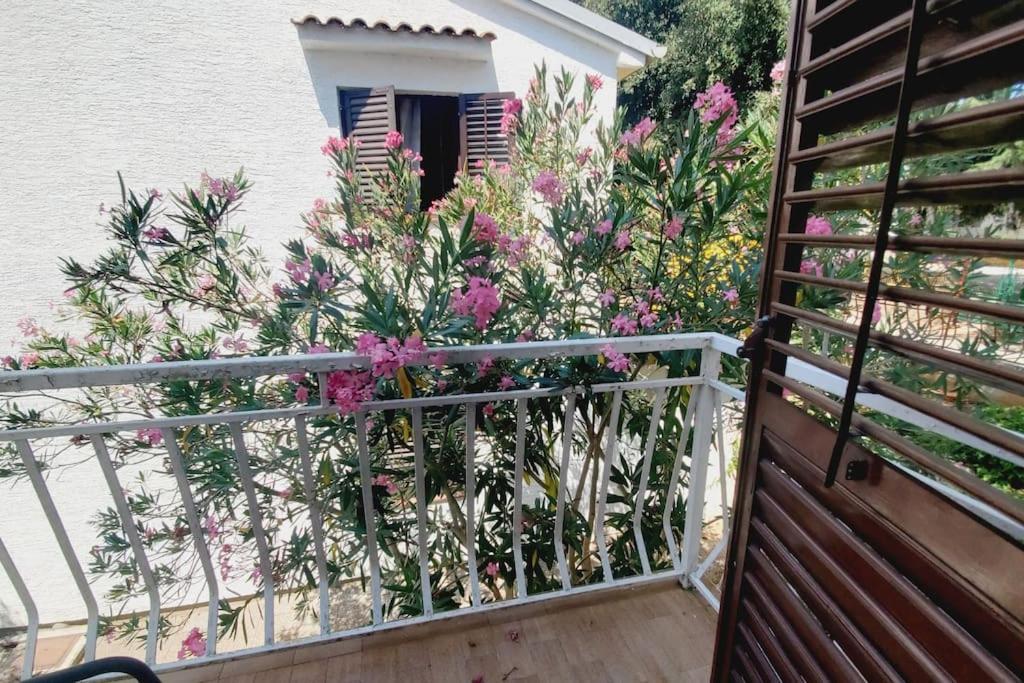 Ferienwohnung Casa Blanca, Weißenburg Exterior foto